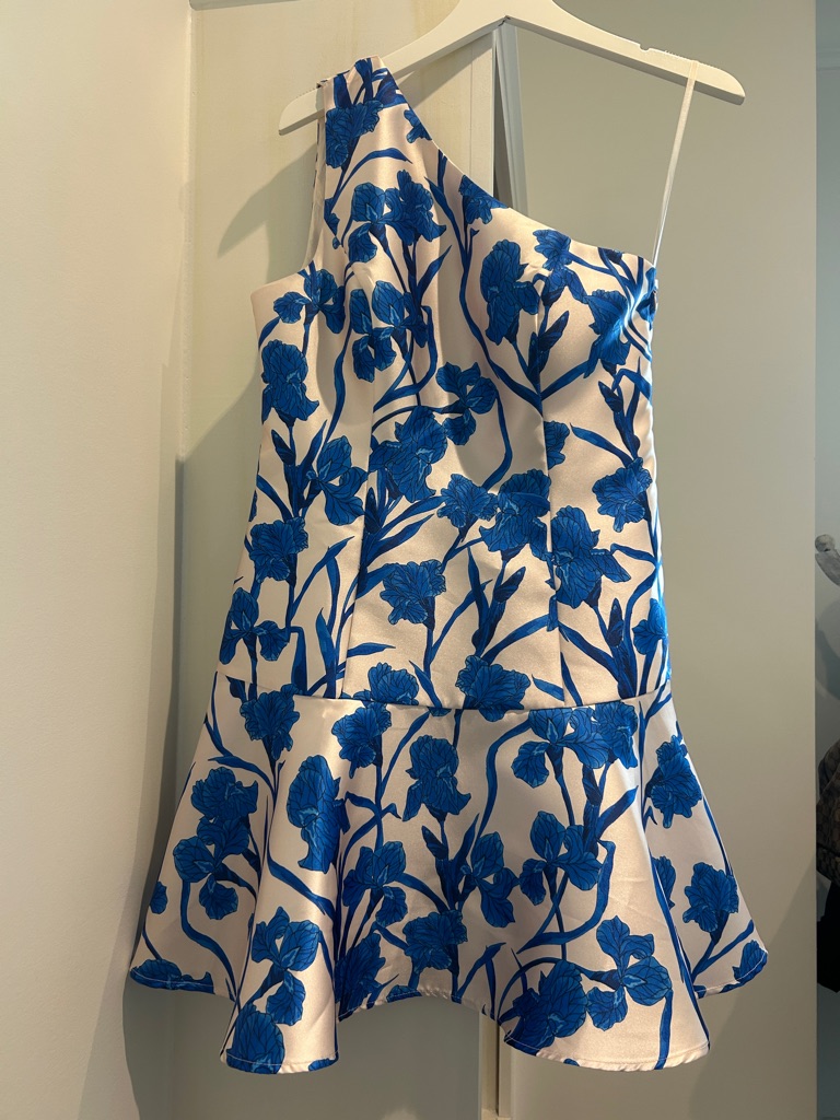 Nwt Hutch Off White Dress With Bright Blue Floral Print-W Size 4